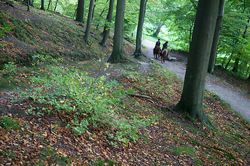 Image showing People on a forest in Denmark