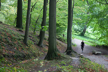 Image showing People on a forest in Denmark