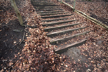 Image showing Staircase in a forest in Denmark