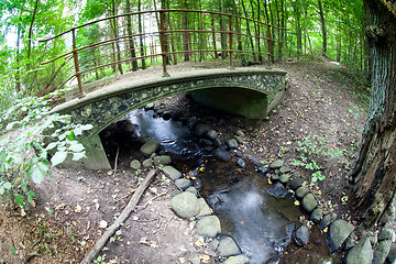 Image showing River in a forest