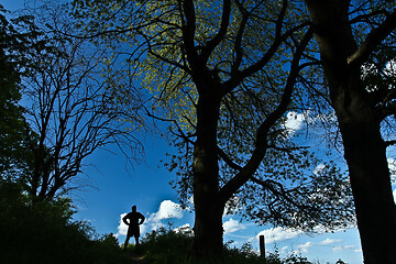 Image showing Man in a forest in Denmark