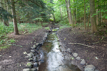 Image showing River in a forest