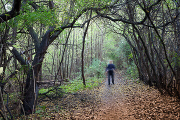 Image showing People on a forest in Denmark