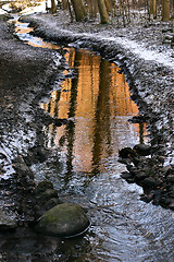 Image showing River in a forest