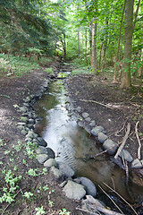 Image showing River in a forest