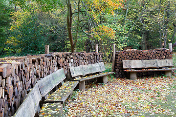 Image showing tree trunk stack in a forest in Denmark