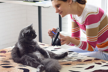 Image showing Girl shows the cat sitting on the bed, tablet computer screen