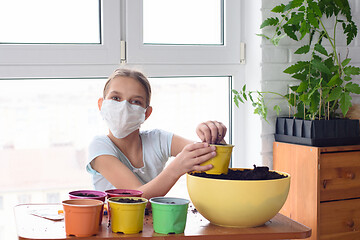 Image showing A quarantined girl pours earth into a pot for planting plants