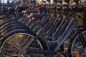 Image showing Bicycles in a row