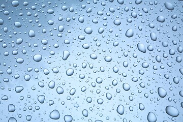 Image showing Shiny Water Droplets