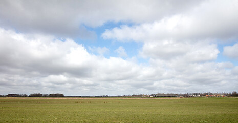 Image showing Open landscape in Friesland