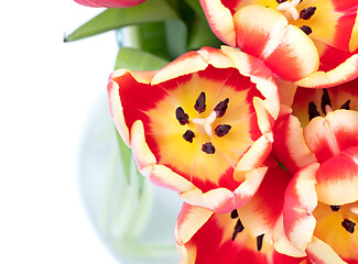 Image showing Red and yellow tulips in a vase