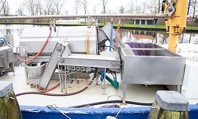 Image showing Machine for processing fish on a boat