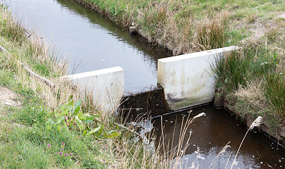 Image showing Meadow with a ditch in the Netherlands