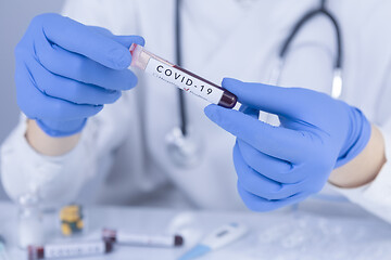 Image showing Doctor hands analyzing Coronavirus COVID 19 test blood