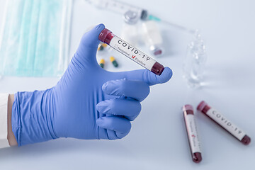 Image showing Doctor hand holding COVID 19 Coronavirus test blood