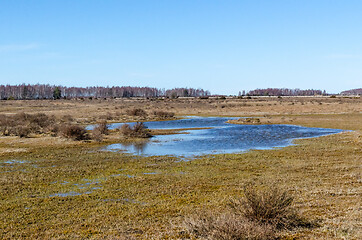 Image showing Flooded great alvar plain