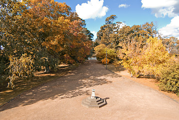 Image showing autumn driveway