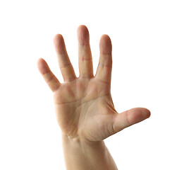 Image showing human hand on white background