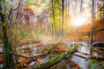 Image showing Cascade mountain river