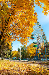 Image showing Maples in autumn park