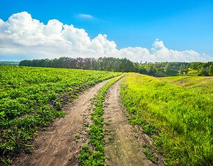 Image showing Country road in sunny day