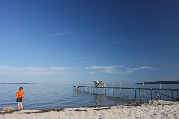 Image showing Cute girl fishing crabs at the beach in the summer