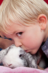Image showing Portrait of a scandinavian young boy in studio with a rabbit