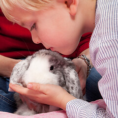 Image showing Portrait of a scandinavian young boy in studio with a rabbit