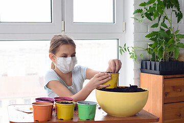 Image showing A sick quarantined girl pours earth into a pot for planting plants