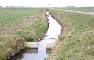 Image showing Meadow with a ditch in the Netherlands