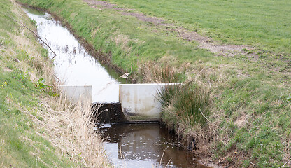 Image showing Meadow with a ditch in the Netherlands