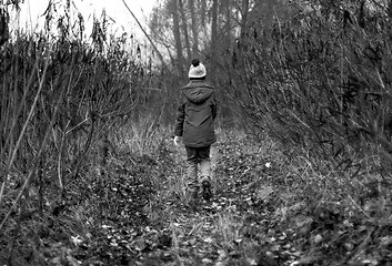 Image showing Child Was Lost in the Forest