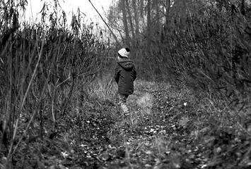 Image showing Child Was Lost in the Forest