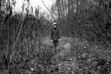 Image showing Child Was Lost in the Forest