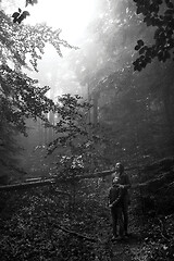 Image showing Mother and son in the mystic green foggy forest. The are looking