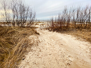 Image showing Baltic sea landscape