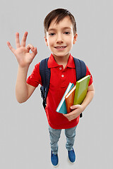 Image showing student boy with books and school bag showing ok