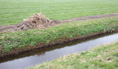 Image showing Mown reed at the side of the ditch