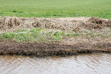 Image showing Mown reed at the side of the ditch