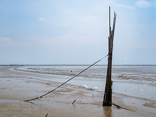 Image showing Mud plains in Chachoengsao, Thailand