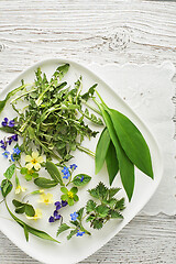 Image showing Healthy spring ingredients