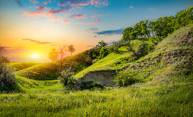 Image showing Green fields of grass