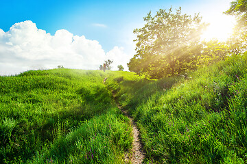 Image showing Footpath in the field