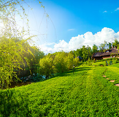 Image showing Beautiful green field