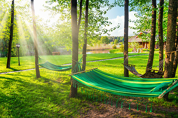 Image showing Garden and hammock