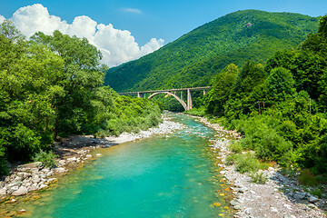 Image showing Mountains and Tara river