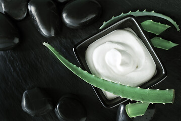 Image showing Aloe Vera with Lotion Box