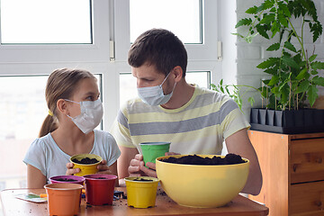 Image showing Happy dad and daughter in quarantine are engaged in crop production