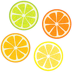 Image showing  Slices of citrus fruits